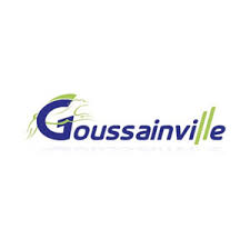 Goussainville partenaire de la compagnie maya